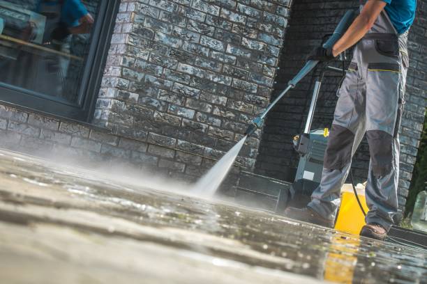 Best Gutter Cleaning  in Springfield, MA