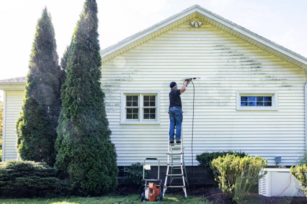 Best Roof Washing  in Springfield, MA